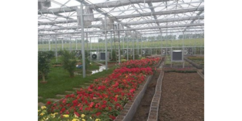 谷城特色農(nóng)業(yè)信息咨詢服務(wù) 賦能鄉(xiāng)村振興，創(chuàng)造產(chǎn)業(yè)輝煌