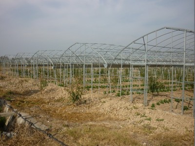 源農(nóng)溫室 專業(yè)溫室大棚銷售、安裝與維修服務(wù)
